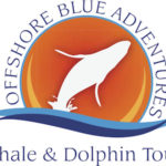 Offshore Blue Adventures